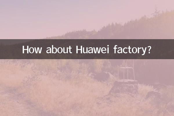 Wie wäre es mit der Huawei-Fabrik?