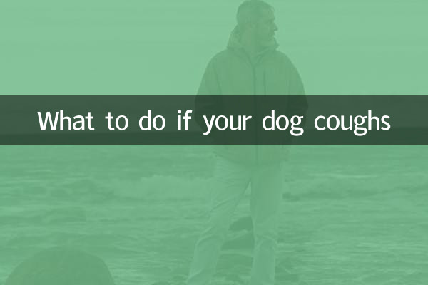 اگر سگ شما سرفه کرد چه باید کرد؟