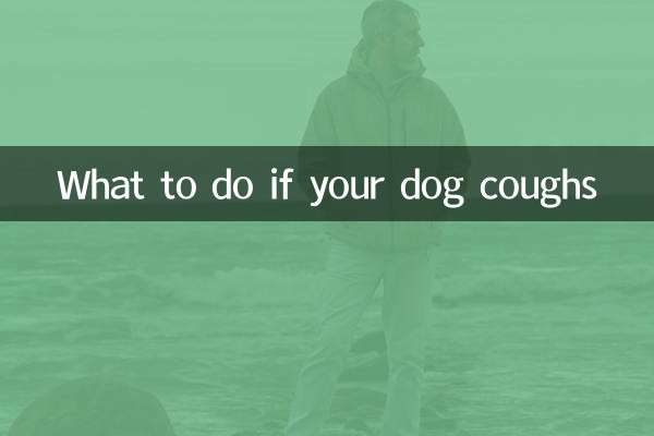 اگر سگ شما سرفه کرد چه باید کرد؟