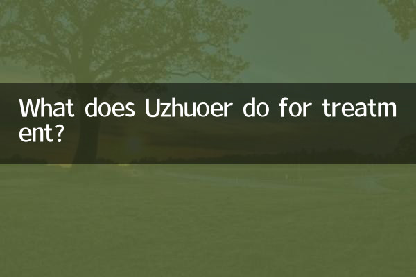 Uzhuoer は治療のために何をしますか?