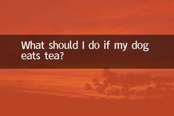 اگر میرا کتا چائے کھاتا ہے تو مجھے کیا کرنا چاہئے؟