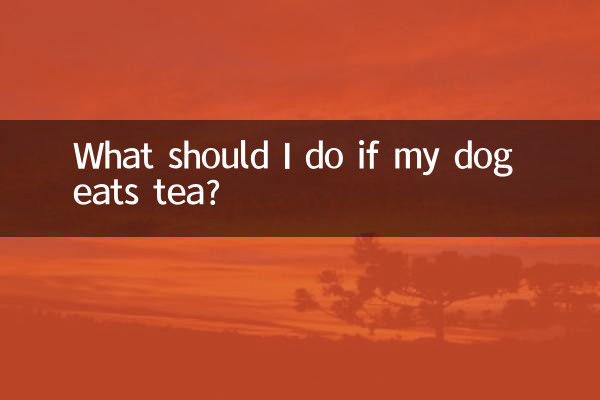 狗狗吃了茶葉怎麼辦