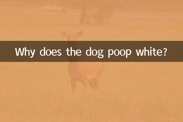 犬のうんちはなぜ白いのですか？