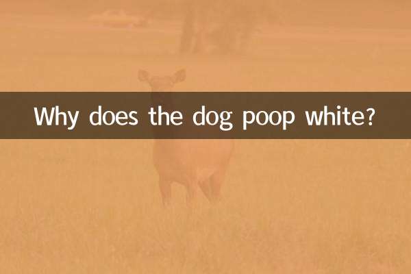 犬のうんちはなぜ白いのですか？