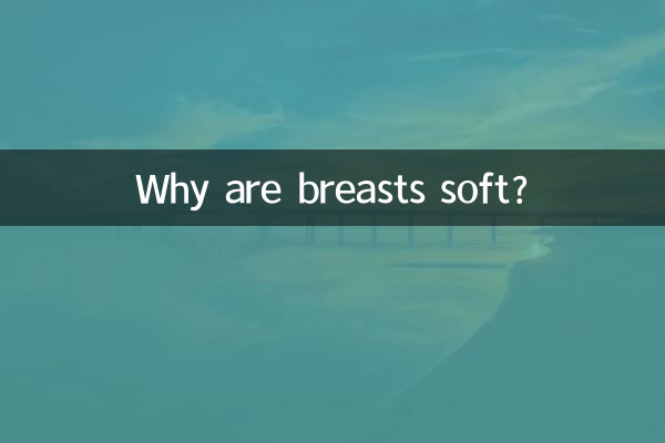 স্তন নরম কেন?