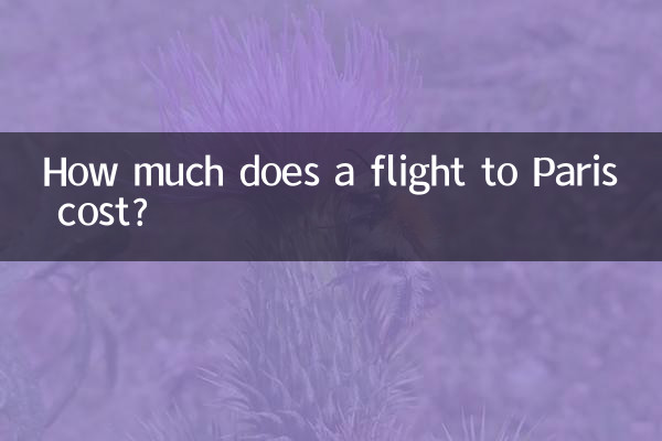 パリまでの航空券の料金はいくらですか?