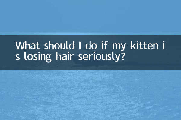 小貓掉毛嚴重怎麼辦