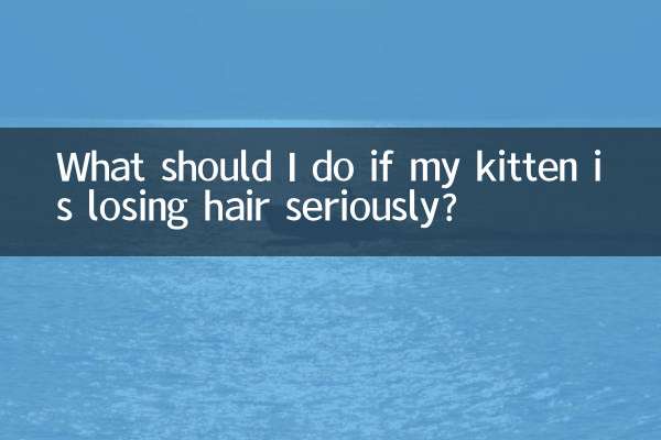 আমার বিড়ালছানা গুরুতরভাবে চুল হারাতে হলে আমার কি করা উচিত?