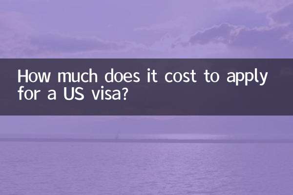 ما هي تكلفة التقديم للحصول على تأشيرة للولايات المتحدة؟