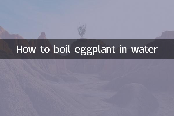 茄子把水怎么煮