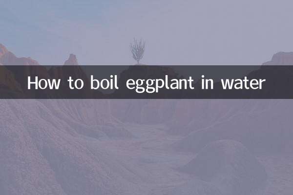 茄子把水怎么煮