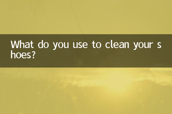 O que você usa para limpar seus sapatos?
