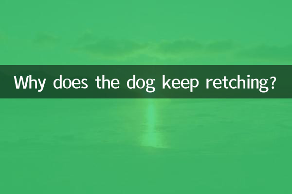 狗老是乾嘔怎麼回事