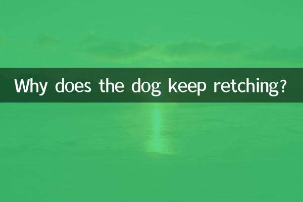 狗老是干呕怎么回事