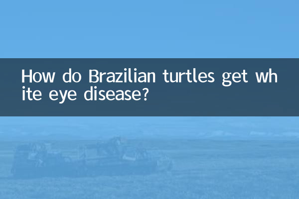 ¿Cómo contraen las tortugas brasileñas la enfermedad de los ojos blancos?