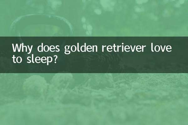 چرا گلدن رتریور عاشق خوابیدن است؟