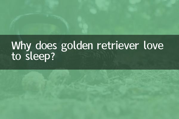 گولڈن ریٹریور سونے سے کیوں پیار کرتا ہے؟