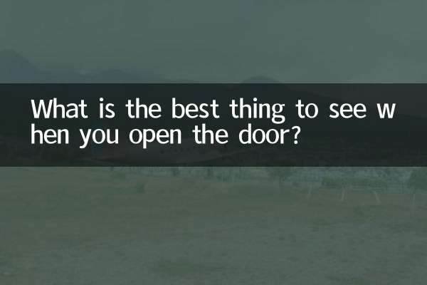 وقتی در را باز می کنید بهترین چیزی که می توانید ببینید چیست؟