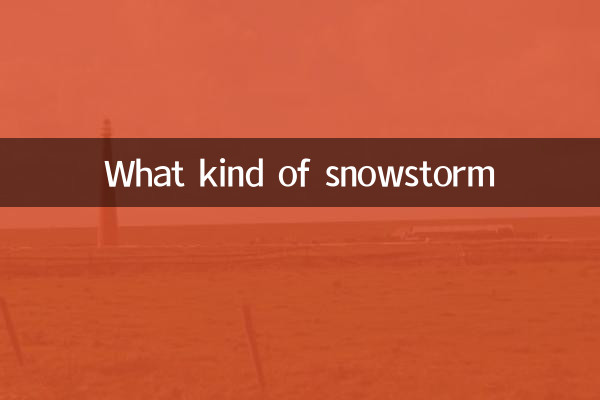 What kind of snowstorm