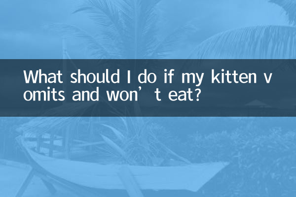 اگر میرا بلی کا بچہ الٹی اور نہیں کھائے گا تو مجھے کیا کرنا چاہئے؟