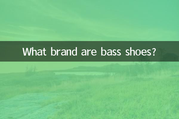 Какой марки обувь для баса?