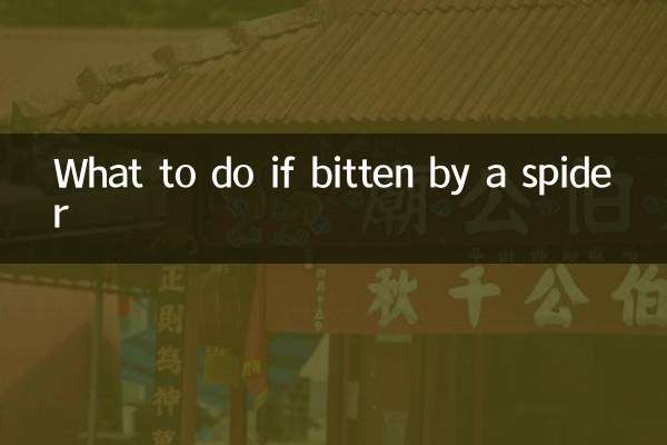 O que fazer se for picado por uma aranha