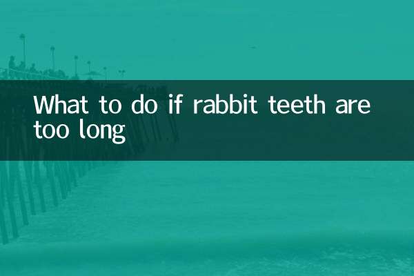 Cosa fare se i denti del coniglio sono troppo lunghi?