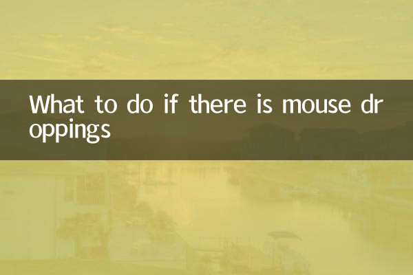 ¿Qué hacer si hay excrementos de ratón?