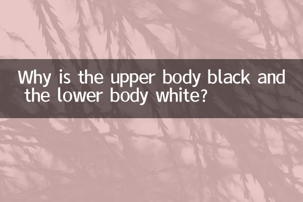Perché la parte superiore del corpo è nera e la parte inferiore bianca?