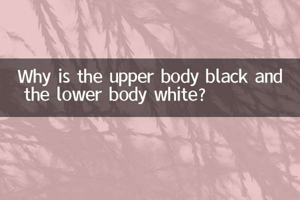 Perché la parte superiore del corpo è nera e la parte inferiore bianca?