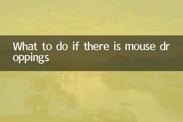 ¿Qué hacer si hay excrementos de ratón?