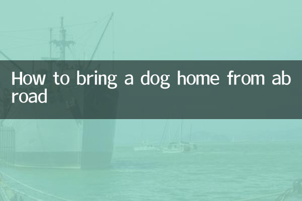 چگونه یک سگ را از خارج به خانه بیاوریم