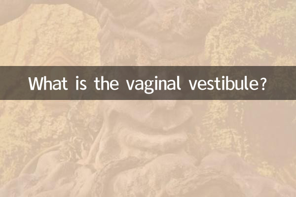 Qu'est-ce que le vestibule vaginal ?