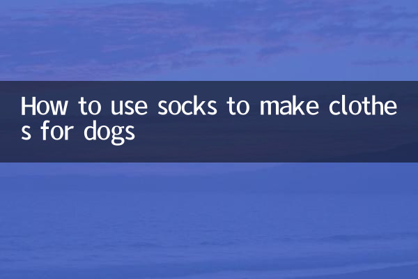 양말을 이용해 강아지 옷을 만드는 방법