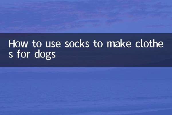 양말을 이용해 강아지 옷을 만드는 방법