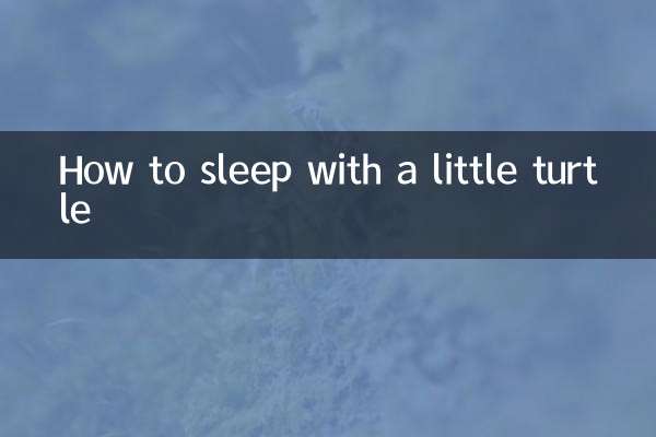 Comment dormir avec une petite tortue