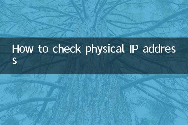 So überprüfen Sie die physische IP -Adresse