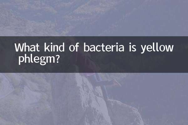 Che tipo di batteri è la catarro gialla?