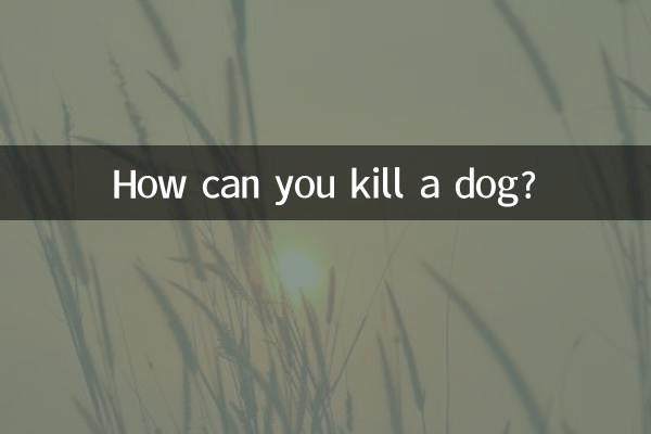 怎么能把狗弄死