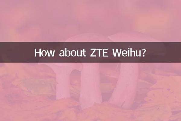 ZTE 웨이후는 어떻습니까?