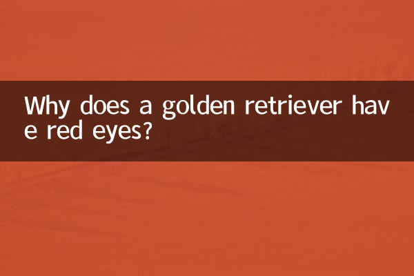 金毛眼睛紅怎麼回事