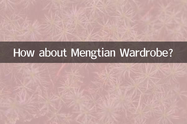 Mengtian 옷장은 어떻습니까?