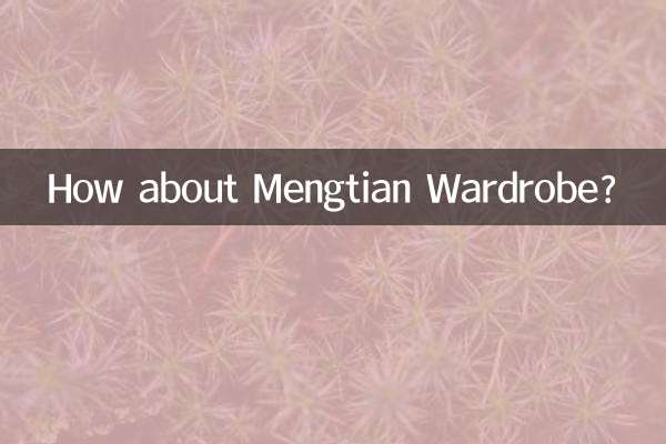 Mengtian 옷장은 어떻습니까?