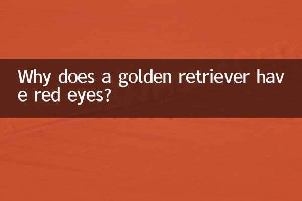 金毛眼睛紅怎麼回事