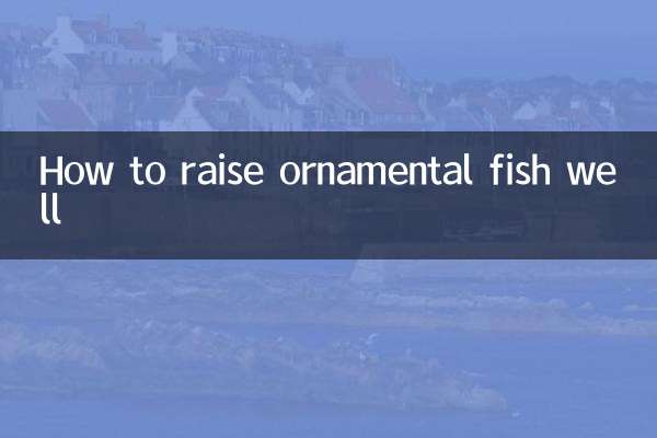 観賞魚の上手な育て方