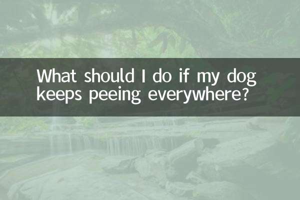 개가 계속 여기저기서 오줌을 싸면 어떻게 해야 하나요?