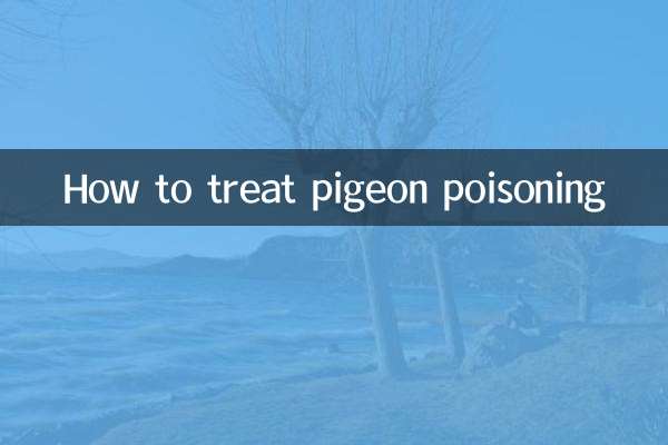 كيفية علاج تسمم الحمام