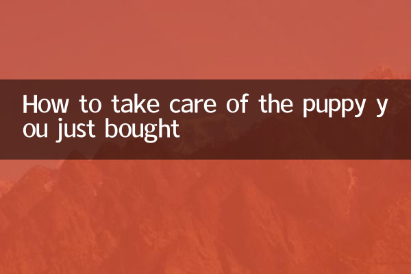 আপনি যে কুকুরছানাটি কিনেছেন তার যত্ন কীভাবে নেবেন