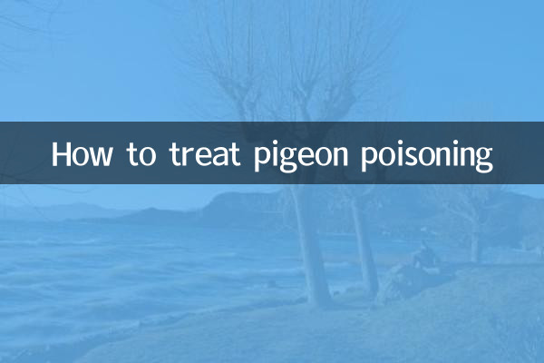 كيفية علاج تسمم الحمام