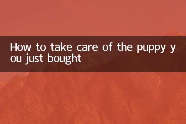 আপনি যে কুকুরছানাটি কিনেছেন তার যত্ন কীভাবে নেবেন